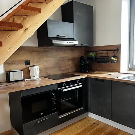 Le Duplex Cornadore アパート サン・ネクテール